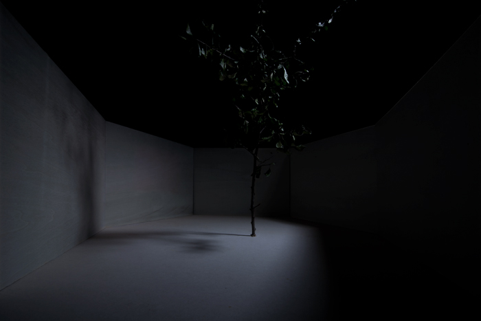Concrete Trees #2
