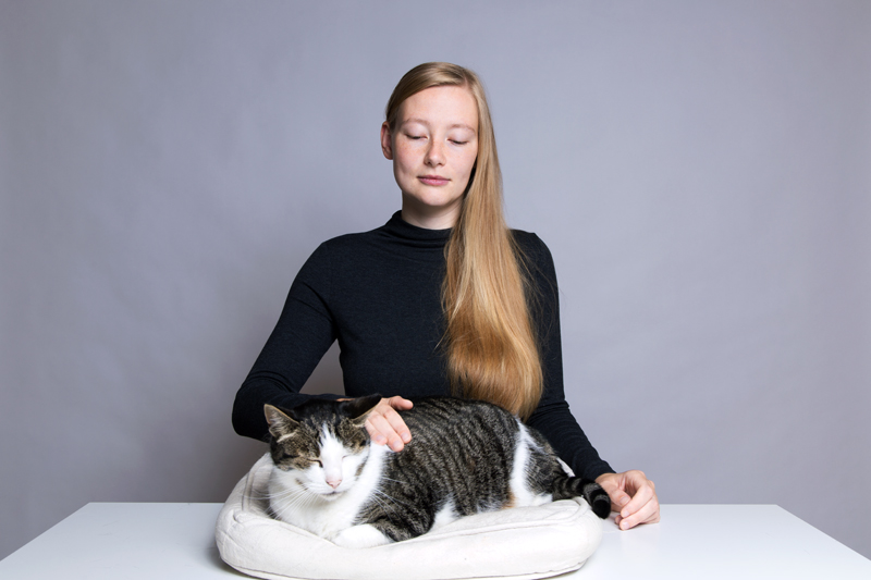 Anleitung - Eine Katze streicheln - How to pet a cat