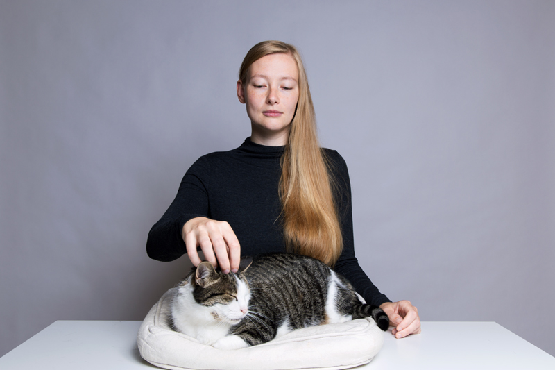 Anleitung - Eine Katze streicheln - How to pet a cat