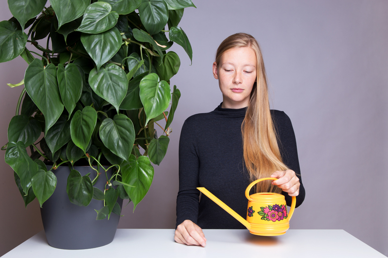 Anleitung - Eine Pflanze gießen - How to water a plant