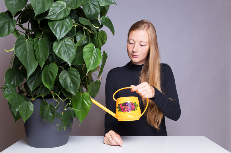 Anleitung - Eine Pflanze gießen - How to water a plant