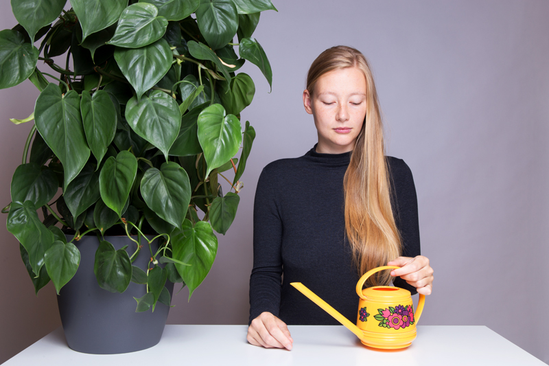 Anleitung - Eine Pflanze gießen - How to water a plant